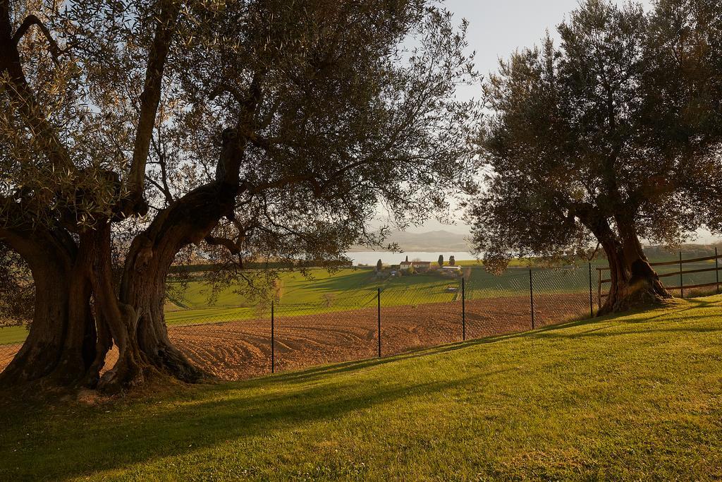 Podere Fontegallo Castiglione del Lago Luaran gambar