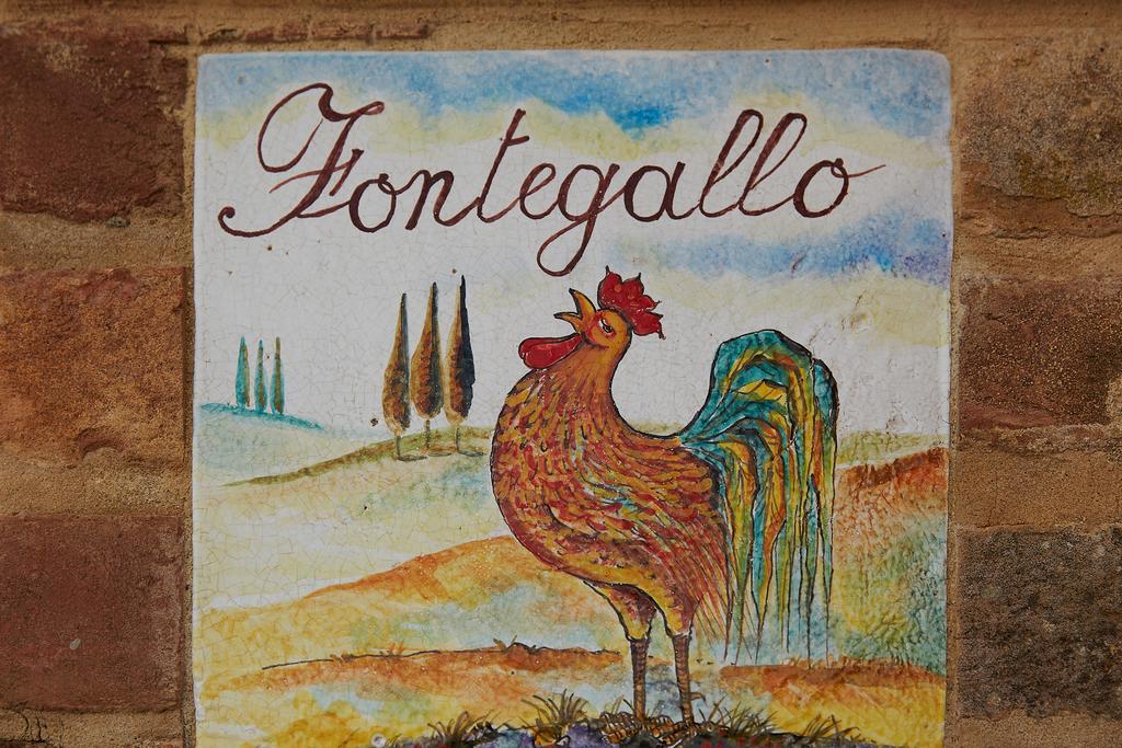 Podere Fontegallo Castiglione del Lago Luaran gambar