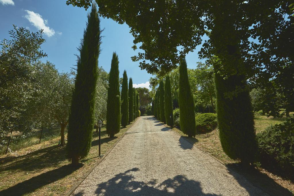 Podere Fontegallo Castiglione del Lago Luaran gambar